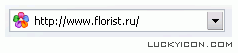Favicon.ico icon for internet-shop www.florist.ru Favicon.ico icon for internet-shop www.florist.ru